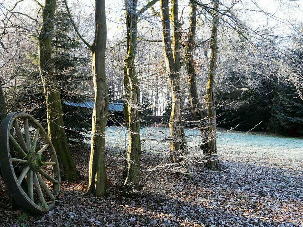 Zur Schanze Holtgast-Apen Buitenkant foto